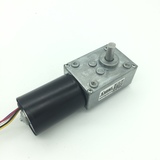 Bringsmart 5840-3650 DC 12V 24V Gear Motor Brushless Worm Gear Motor 
