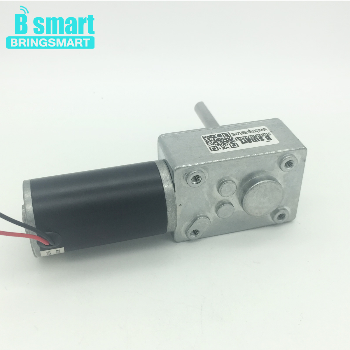 Bringsmart 584031zy 52mm Long Shaft Worm Gear Motor Bringsmart