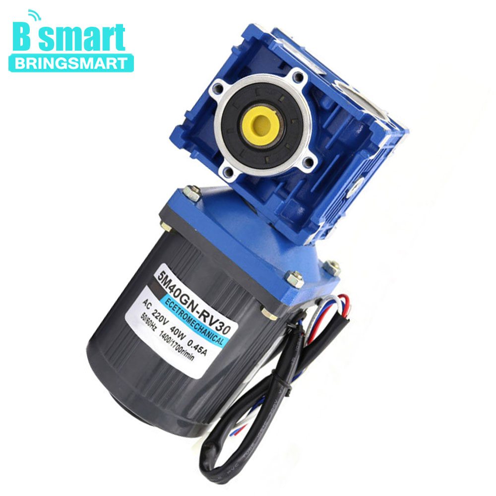 Bringsmart Sr M Gn Rv Rpm Kg Cm Dc V Volt Gear Motor