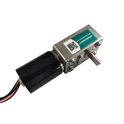 XPJGY-2838 3-214rpm 12-24V Gear Motor Reverse DC Brushless Motor 12V Gear Worm Motor