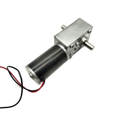 A58SW-31ZYS DC 12V/24V Electric Motor Double Shaft Worm Gear Motor Turbine Engine