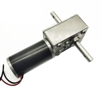 Bringsmart 5840-31zy Double Shaft Gear Motor Self Lock DC Worm Gear Motor