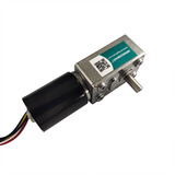 XPJGY-2838 3-214rpm 12-24V Gear Motor Reverse DC Brushless Motor 12V Gear Worm Motor
